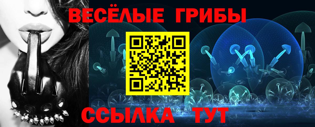Псилоцибиновые грибы Psilocybe Первоуральск